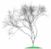 arbre contgext free